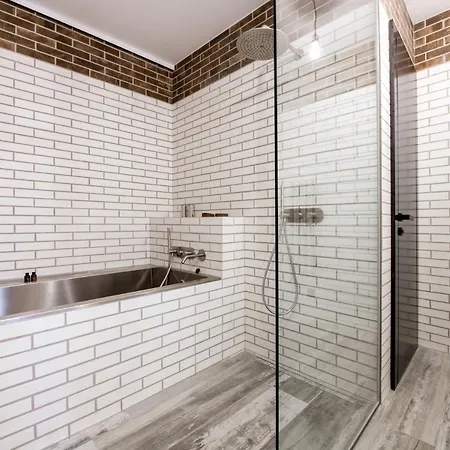 ホテル Apartmanovy Dum U Tomana
