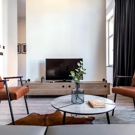 Apartmanovy Dum U Tomana ホテル ブルノ