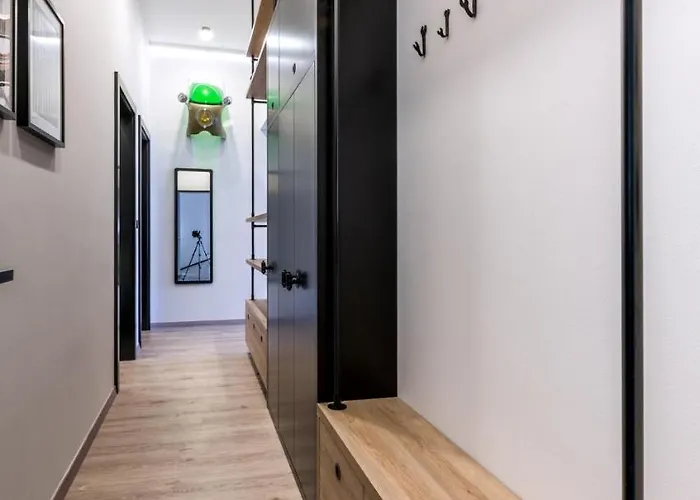 Apartmanovy Dum U Tomana Hotel Brno