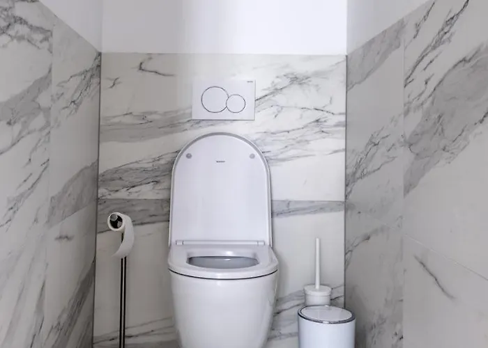 Apartmanovy Dum U Tomana Hotel Brno