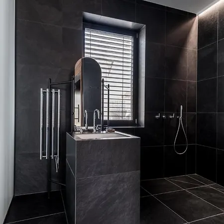 Apartmanovy Dum U Tomana Hotel Brno